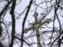 Подворье Китайской православной церкви появится в Москве