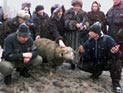 Петербургский парламент не поддержал законодательную инициативу, появившуюся после жертвоприношения на Курбан-байрам Петербургский парламент не поддержал законодательную инициативу, появившуюся после жертвоприношения на Курбан-байрам