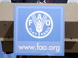          ,       FAO