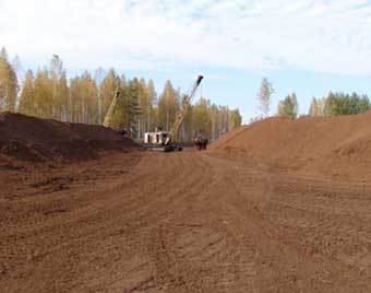  ,    www.rustorf.ru