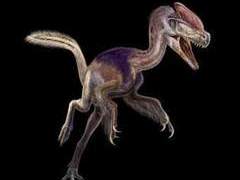 Guanlong wucaii, рисунок с сайта independent.co.uk Guanlong wucaii, рисунок с сайта independent.co.uk