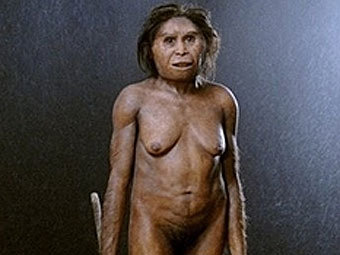   H. floresiensis,    . ,  AFP