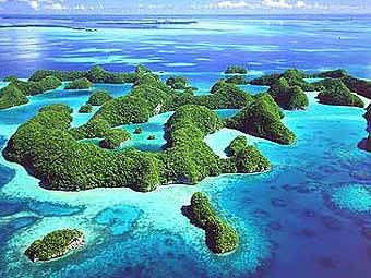    .    scubadivephilippines.com