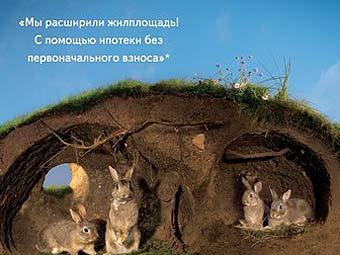       adme.ru 