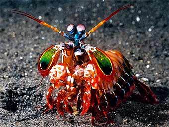      ecodivers.com