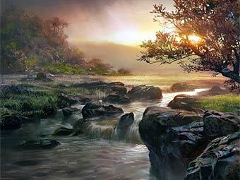   Guild Wars     