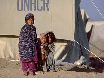  .    un.org