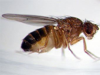    wisc.edu