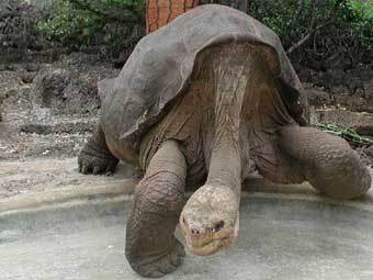  .   : www.galapagospark.org