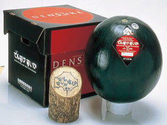   "Densuke".   takatsu.cc