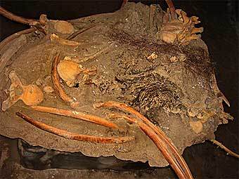        ,   .   Khatanga Mammoth Museum
