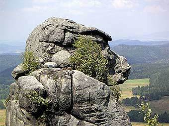 " "  .    polandforall.com