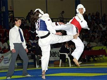    fetaekwondo.net