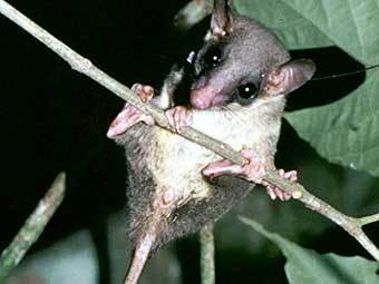  .  National Academy of Sciences, PNAS.