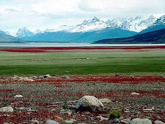 .   Rolf Hengel   wikipedia.org