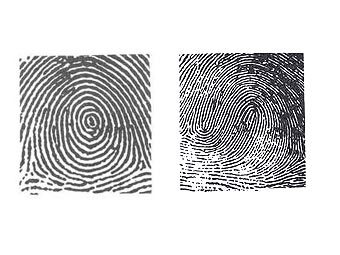    midnightresearch.com