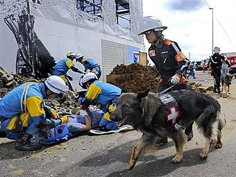           .  AFP