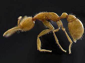    Martialis heureka.   