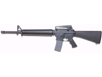   16.  Colt