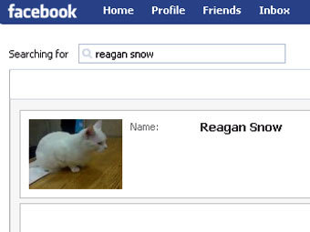  .       Facebook   