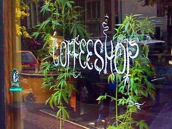   ,    amsterdam.info
