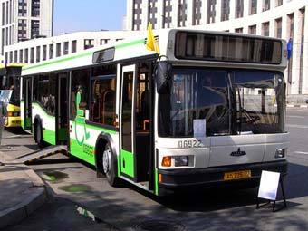    -  .    bus.ruz.net 