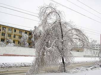 .    volgograd.ru