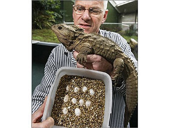             2008 .    stuff.co.nz