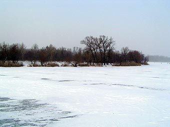  .    semikarakorsk.ru