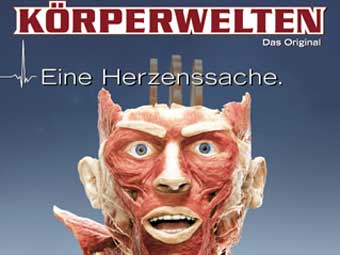 -   .    koeprerwelten.de