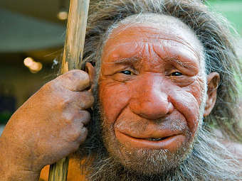    Homo neanderthalensis.    arizona.edu