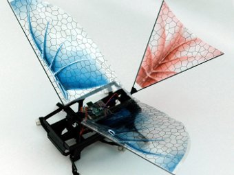  DASH+Wings.  Kevin Peterson/UC Berkeley