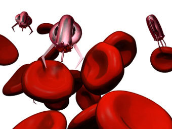  .    nanogloss.com 