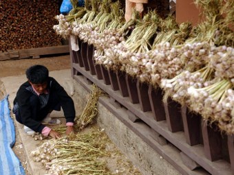 : Hoanh Dinh Nam / ©AFP